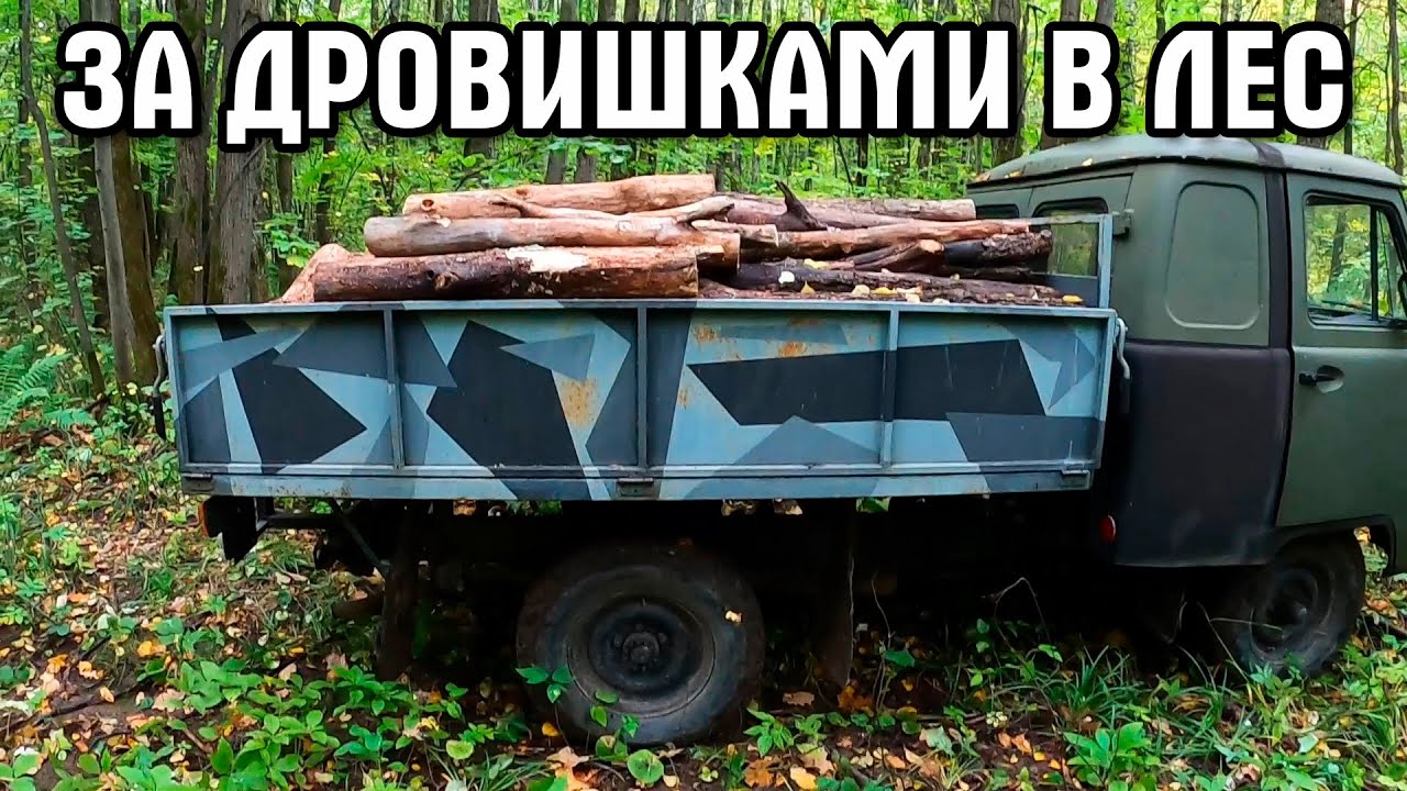 Поехал за валежником в лес. Новая пила подвела. Старая выручила