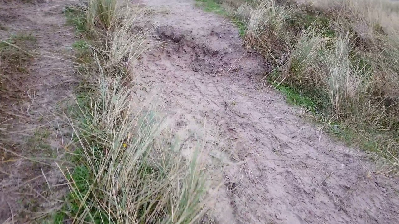Zeeglas en stenen zoeken op Texel