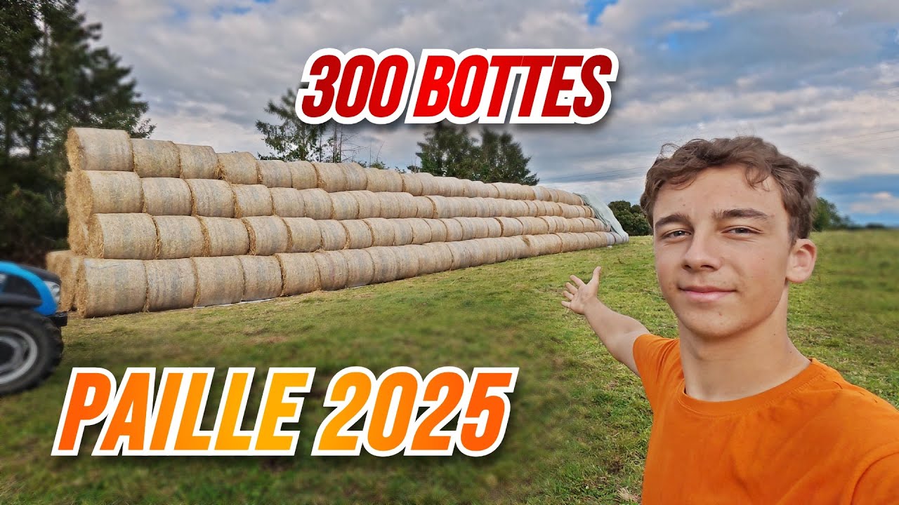 LIVRAISON BLÉ ET PAILLE 2025