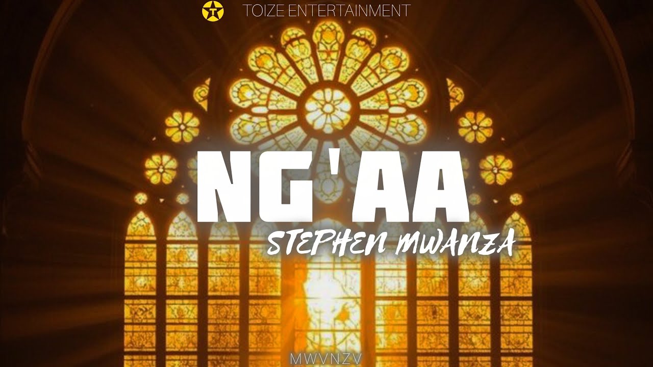 NG'AA (SHINE) - Stephen Mwanza ( Visualizer)