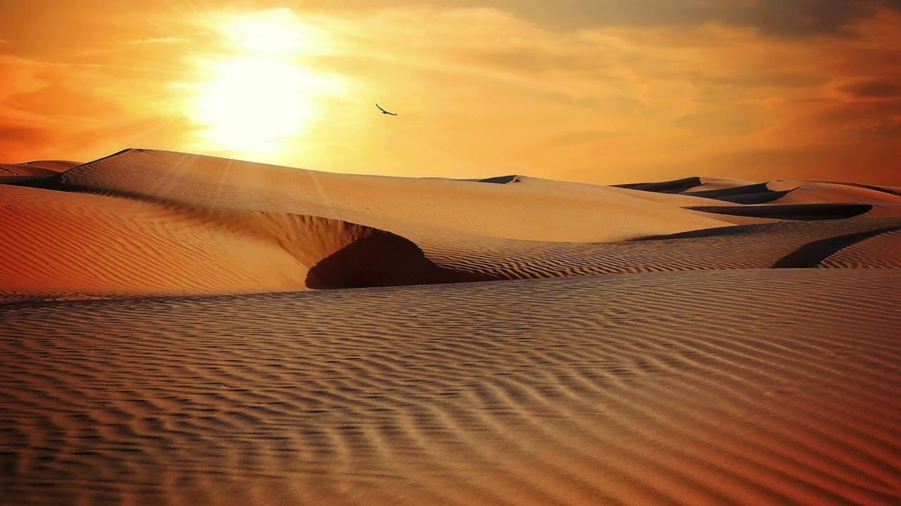 Danket dem Herrn | Psalm 118