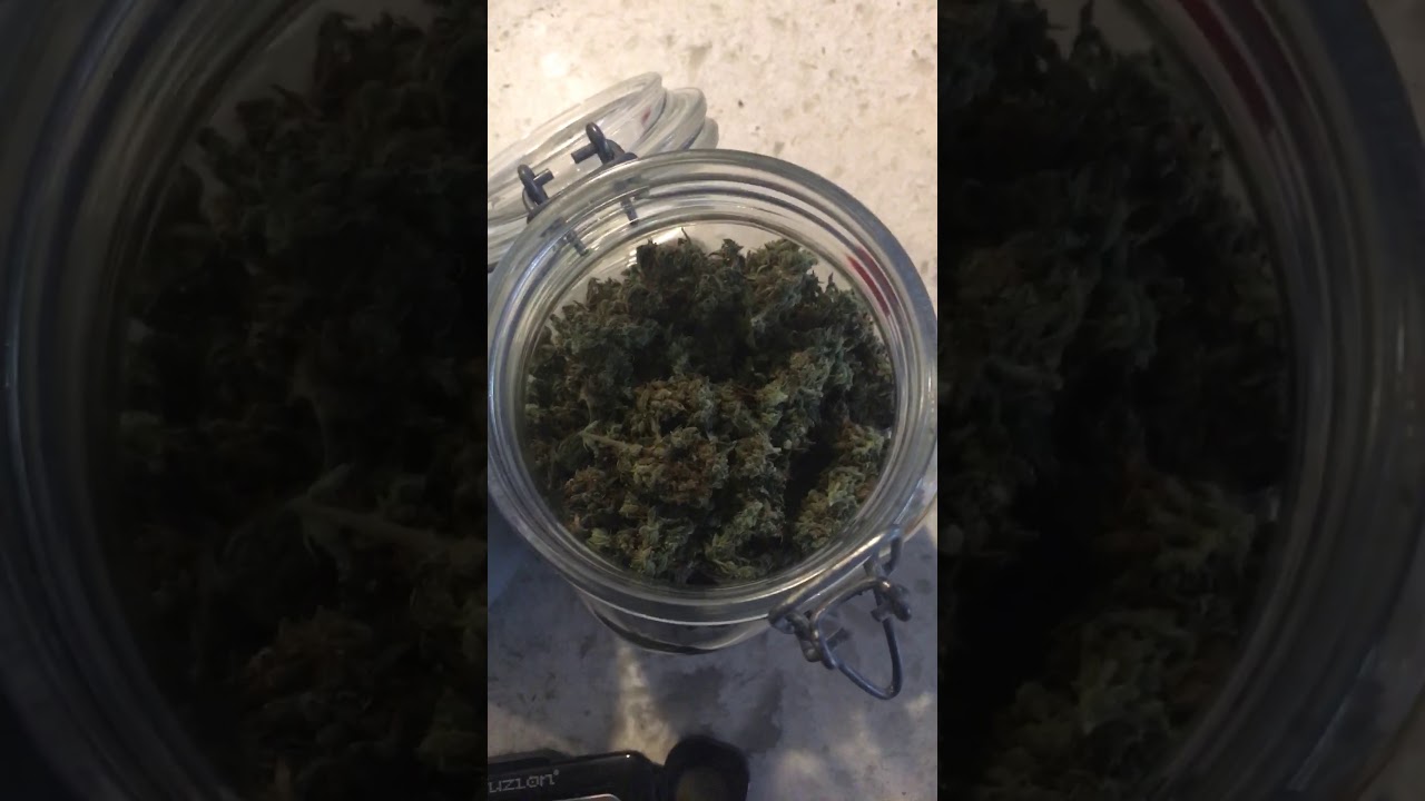 Critical Purple Auto Final Yield