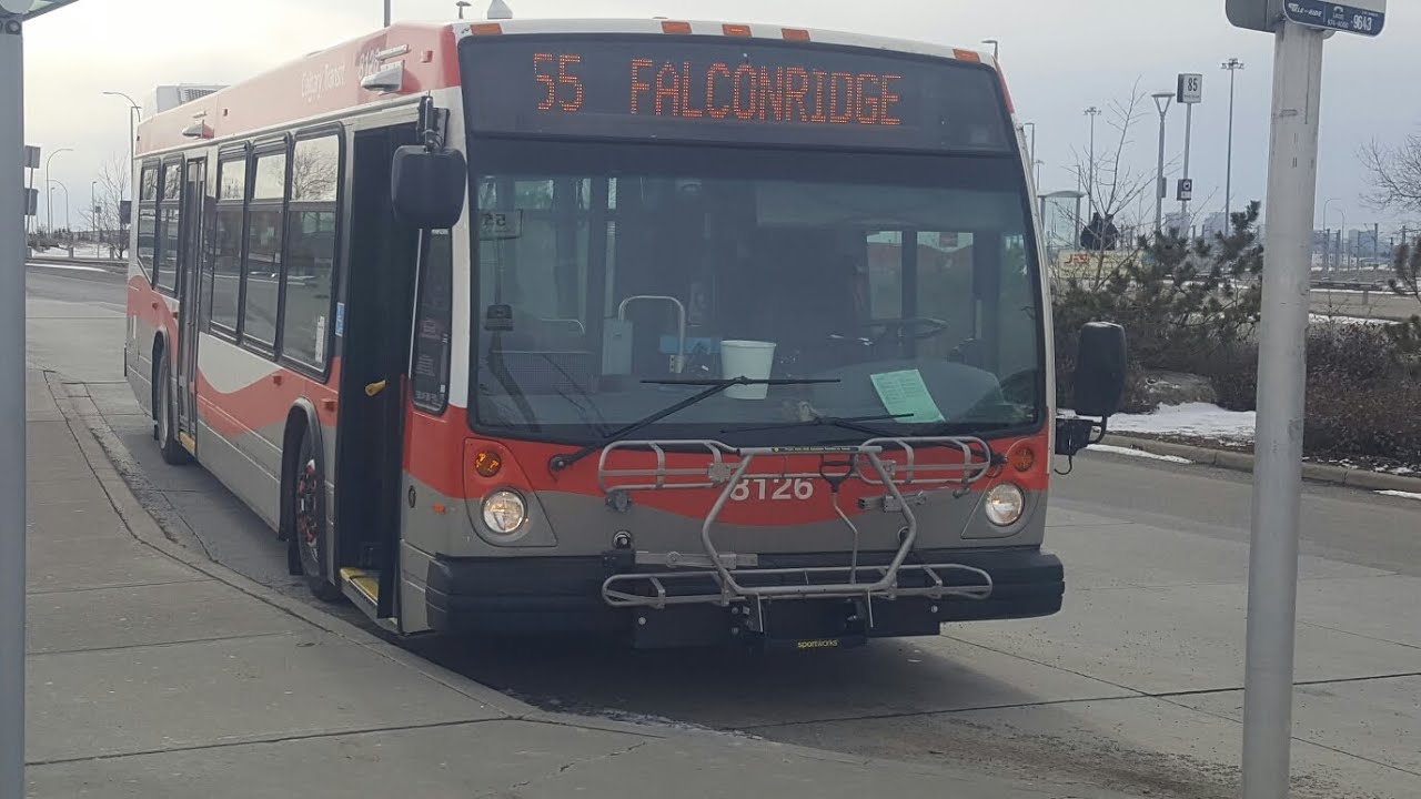 Calgary Transit 2010 Nova Bus LFS #8126 on Route 55 Falconridge