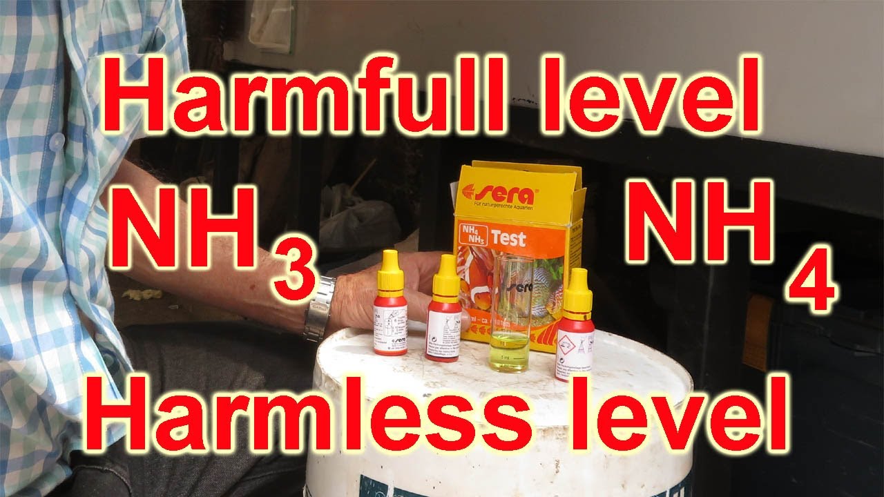 How you test ammonia and ammonium with the Sera GmbH Test kit for aquariums