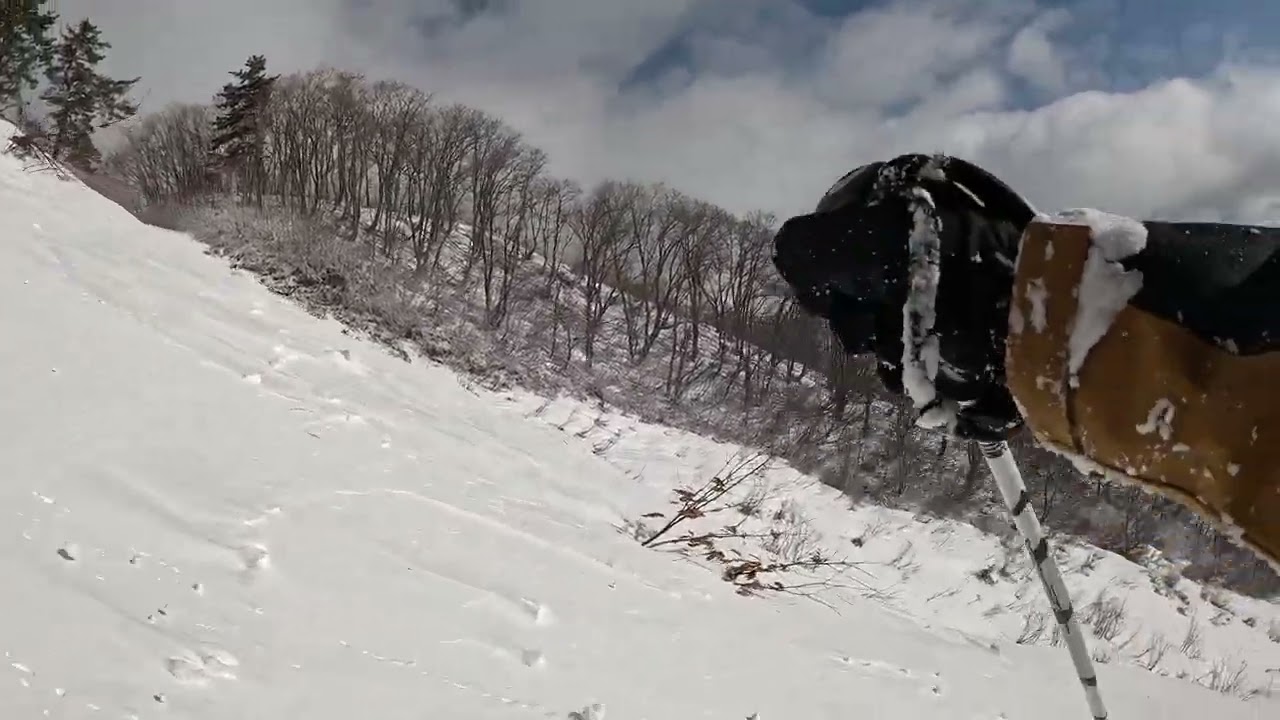 Norikura Onsen - Expert Course - March 5th, 2026