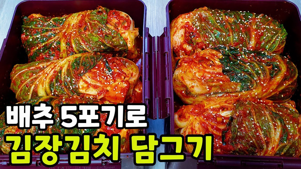 [배추 5포기 김장김치] 올해 김장김치 이렇게 담그시면 무조건 100% 성공해요!