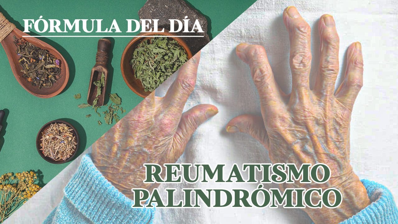 FÓRMULA HERBOLARIA PARA REUMATISMO PALINDRÓMICO