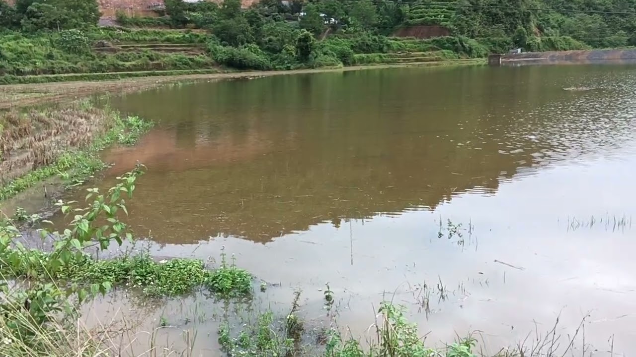 cánh đồng ruộng nà can chỉ sau một cơn mưa 