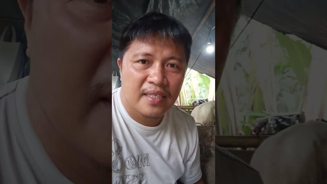 MAYROON BA TAYONG KITA.? AT UPDATE SA PRISYO NG BABOY NGAYON.