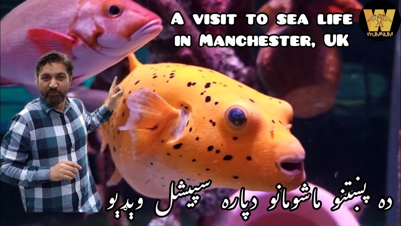 A Visit to Sea Life in Manchester, UK