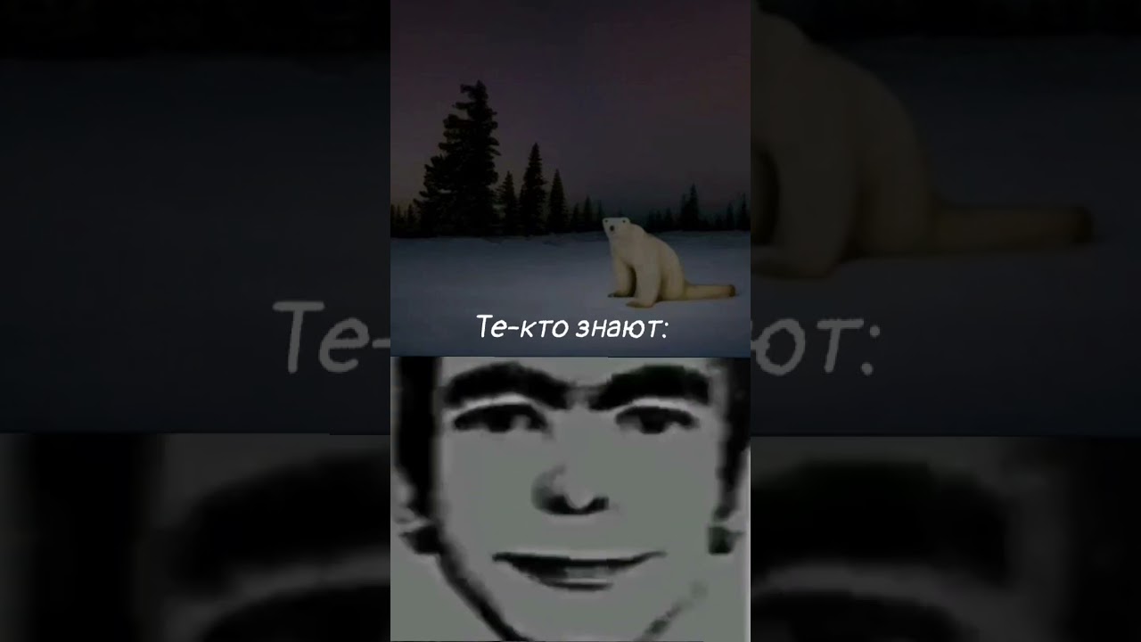 Жаль этого медведя... #рекомендации  #2026 #willowproject #полярныймедведь #белыймедведь