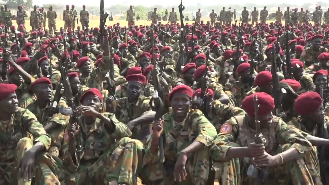 ORGANIZED FORCES DEPLOYED DURING THE NEW YEAR CELEBRATIONS