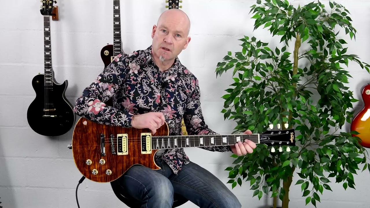 Vintage® ReIssued V100AFD Electric Guitar.