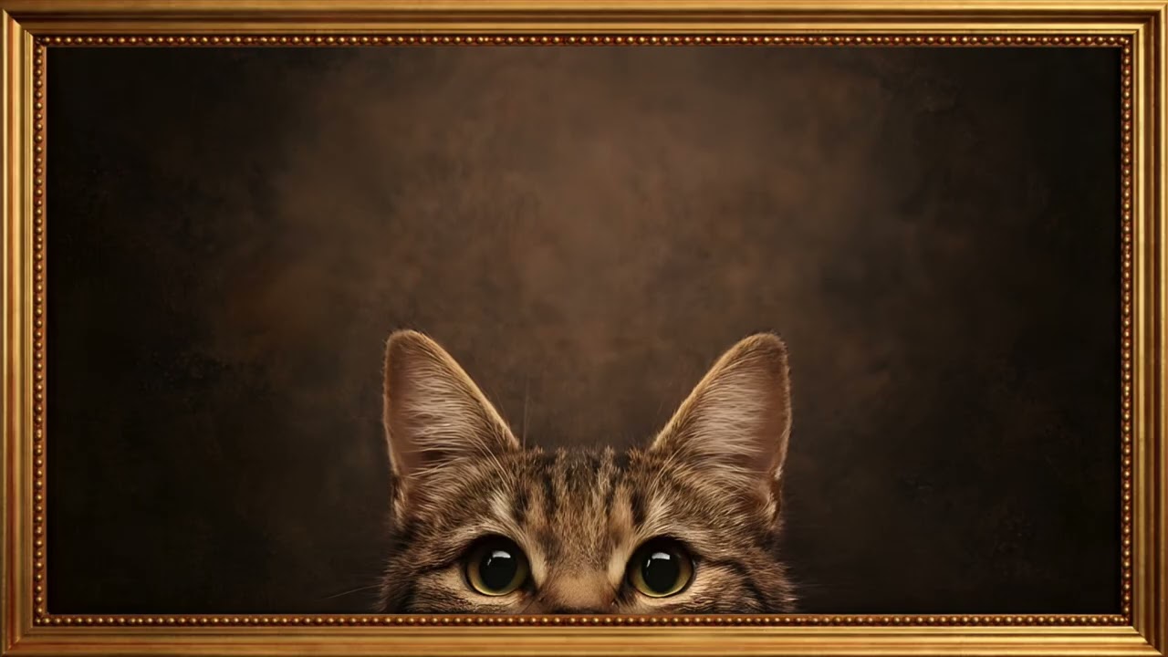 Frame TV Art | Peeking Cat Oil Painting in 4K Ultra HD