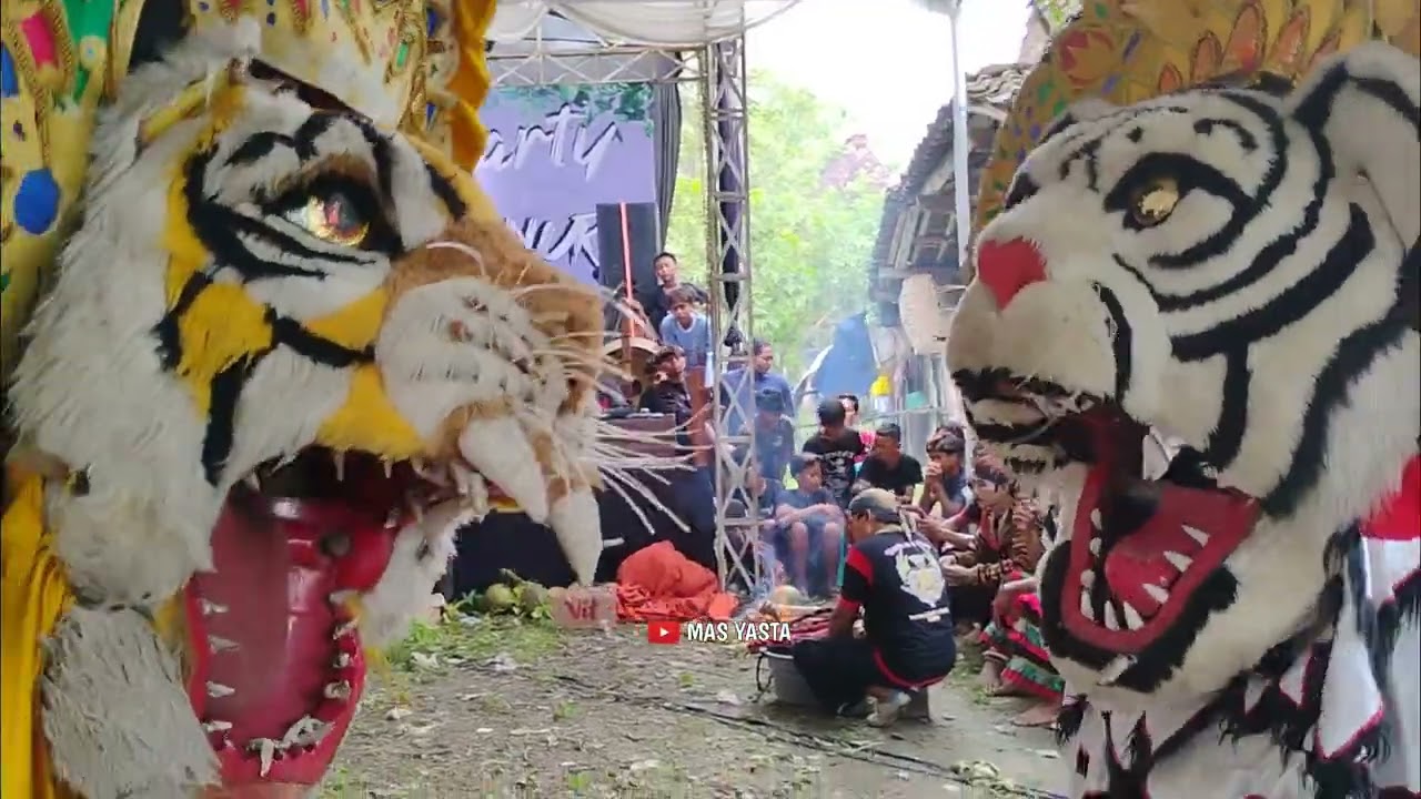 Mbabar‼️ Barongan Turonggo Setosari Keluar Kandang | Live Tegowanu 