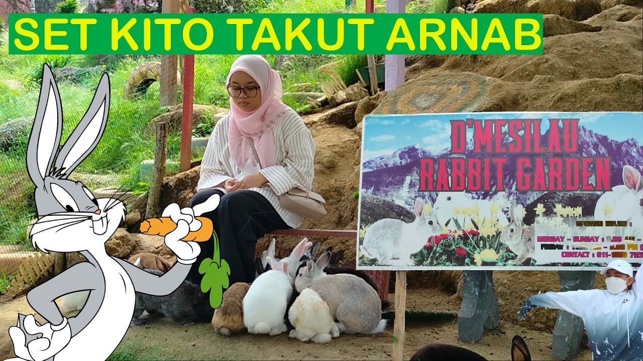 D'Mesilau Rabbit Garden Kundasang Sabah Endemik 2022