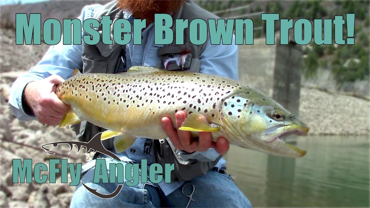Too LARGE for the Net!😃 - Monster Brown Trout on Streamer - McFly Angler Episode 14