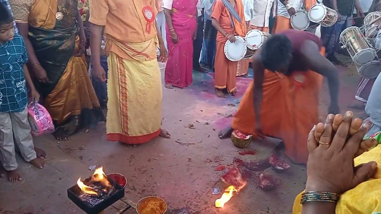 பாச்சாரி அம்மன் கோயில் வி கோட்டா ரோடு பேரணாம்பட்டு வீடியோ 2