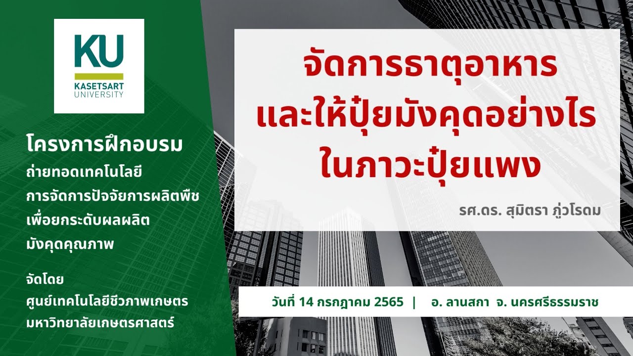 จัดการธาตุอาหารและให้ปุ๋ยมังคุดอย่างไร ในภาวะปุ๋ยแพง