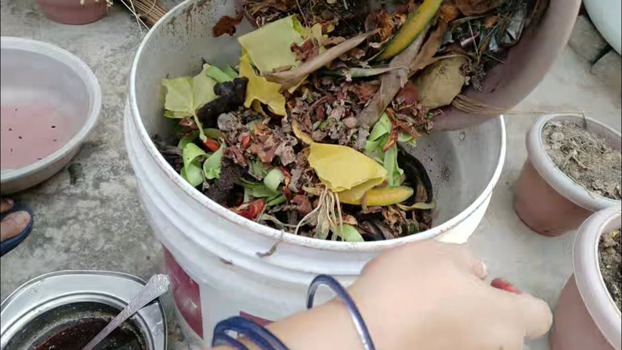 बिना कीड़े और बिना बदबू के बनाए प्लास्टिक की बाल्टी में खाद/ Kitchen waste compost in plastic bucket