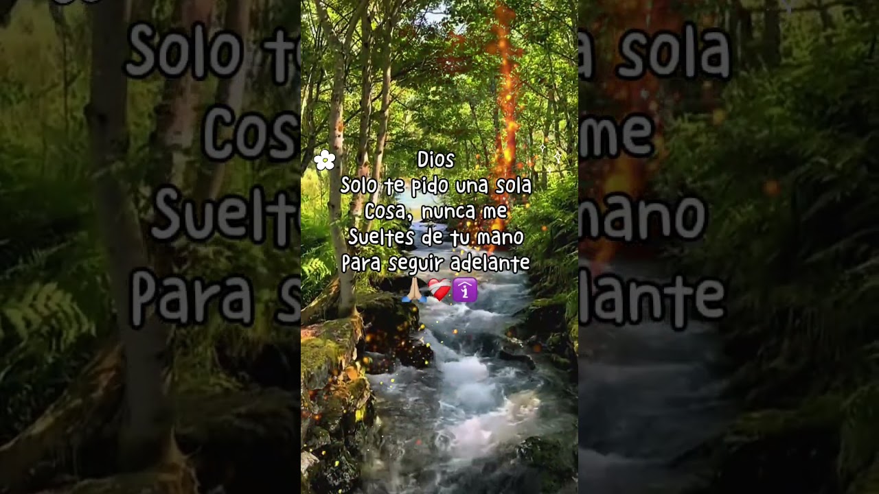 BENDICIONES #feedshort #buenosdias #luzdecristo #paraty #paratodos #luzdecristo #bendiciones #pazyfe