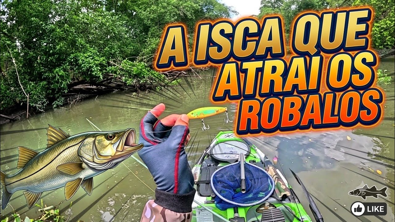 NUNCA peguei TANTO PEIXE com uma ISCA DE SUPERFICIE. Pescaria de robalo