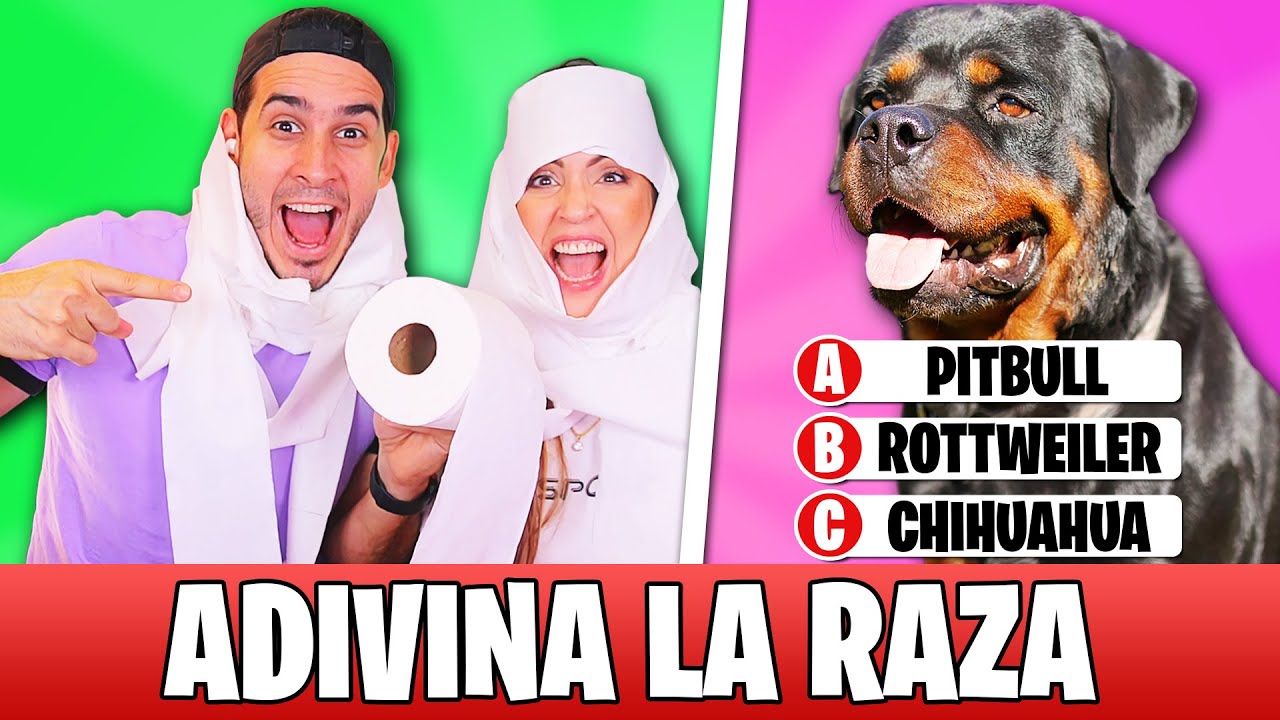 ENRROLLAMOS CON PAPEL DE BAÑO AL QUE NO ADIVINE LA RAZA DEL PERRO