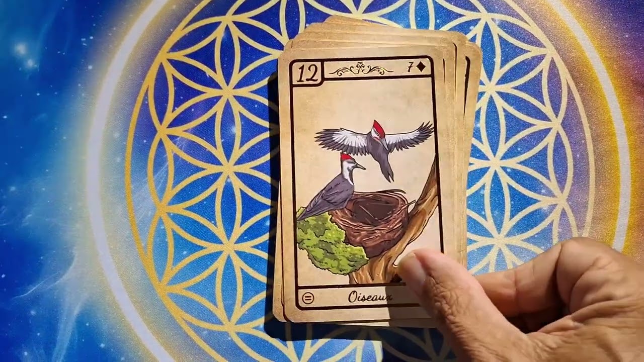 Le petit Lenormand