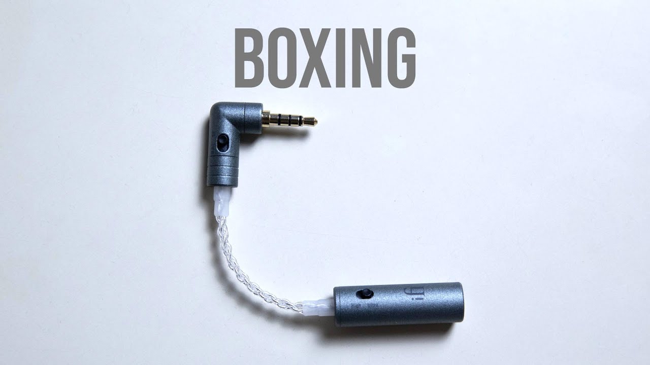 Boxing iFi IEMatch+
