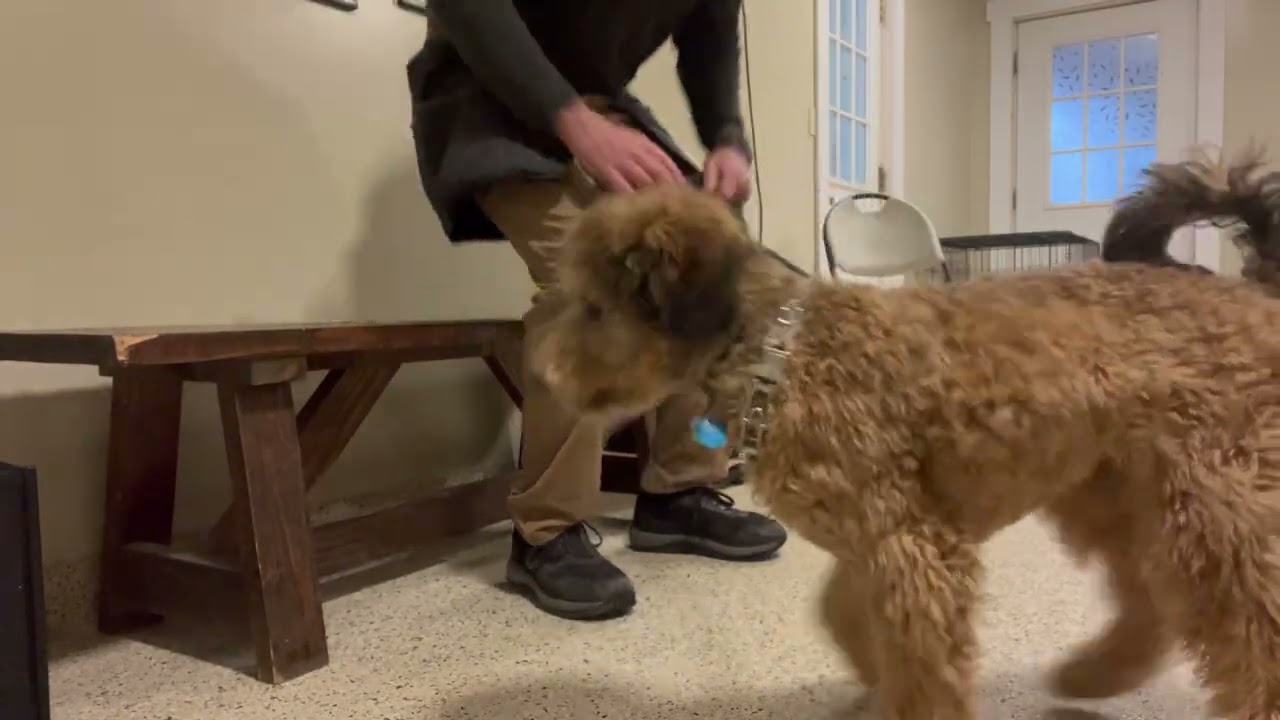 Murphy 02 04  26