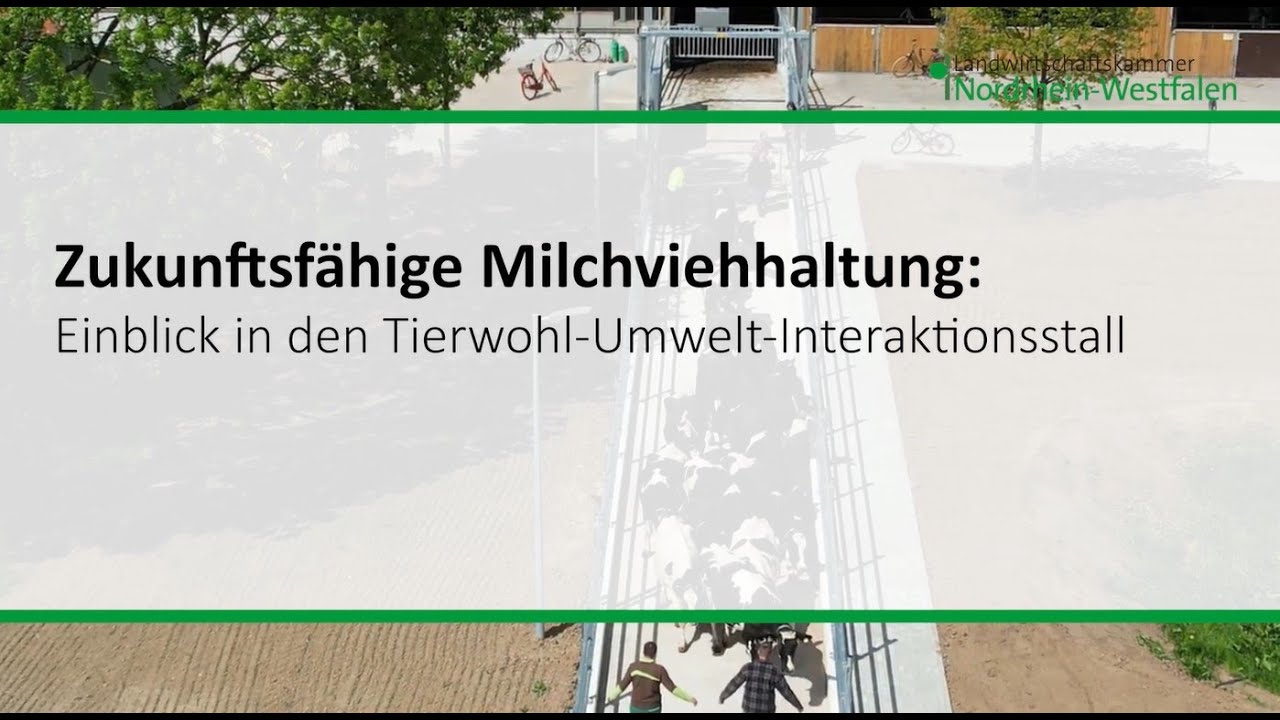 Zukunftsfähige Milchviehhaltung: Einblick in den Tierwohl-Umwelt-Interaktionsstall