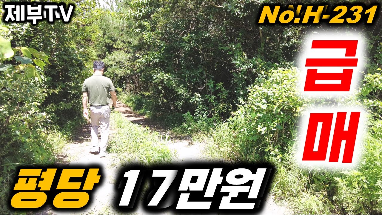 (급매) 제주도가 확실히 큰일 난거 같습니다 이거 어쩌면 좋아요
