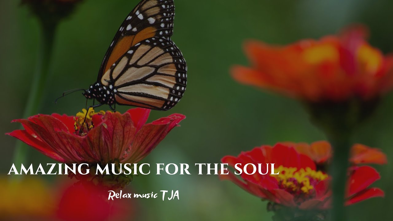 Amazing music for the soul - for relaxation - for peace of mind
