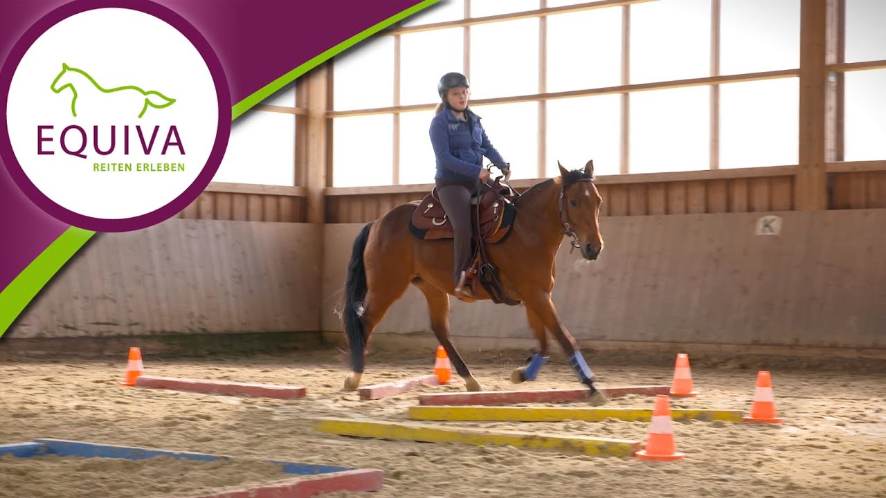 Westernreiten: Training für das erste Turnier