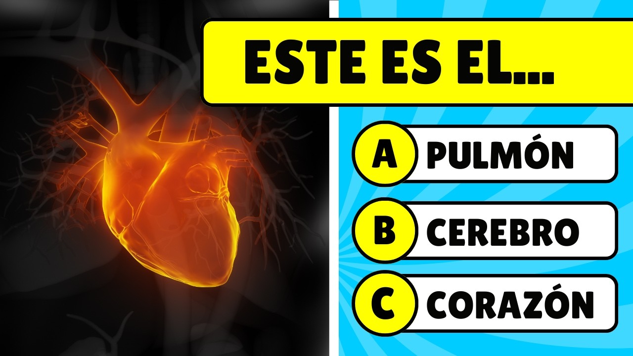 🤔 ¡Test de Cultura General Nivel Imposible! 📚 Solo el 3% Completa los 36 Desafíos 🏆