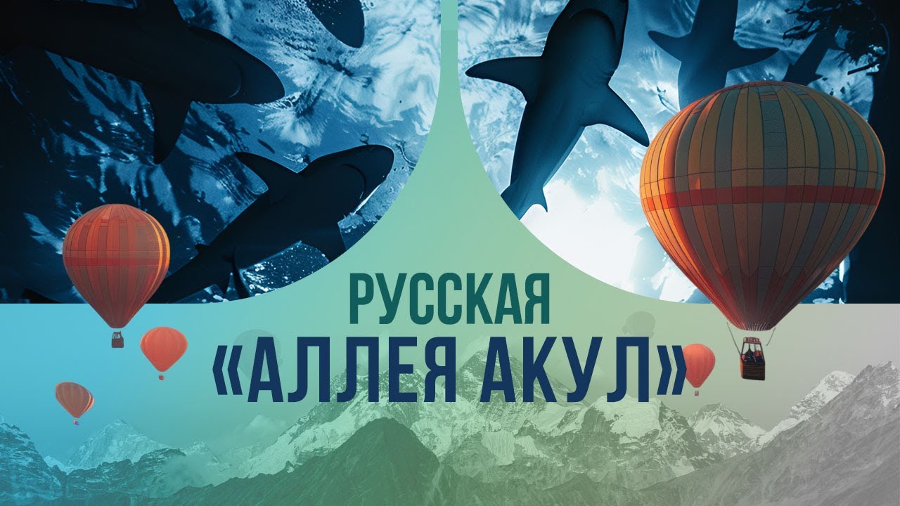 Русская «аллея акул»: как оказаться наедине с морской хищницей там, где нет побережья и океанов?