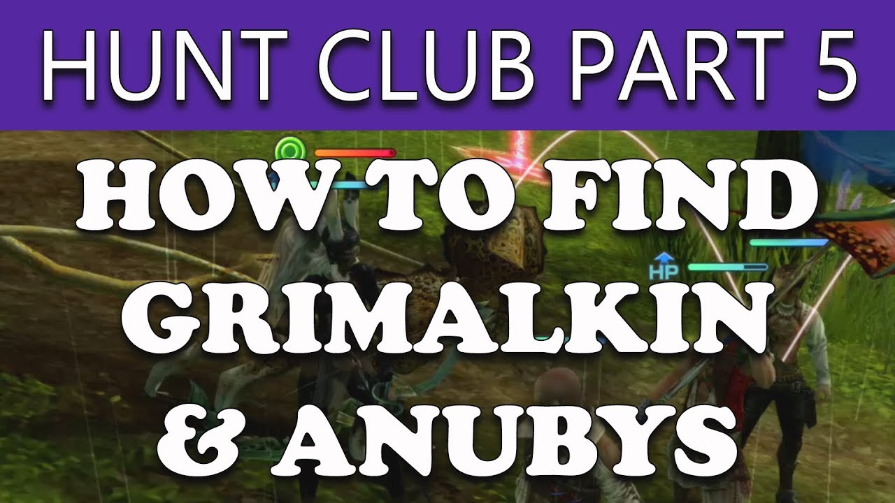 Final Fantasy XII The Zodiac Age How to Find GRIMALKIN & ANUBYS RARES - The Hunt Club Part 5