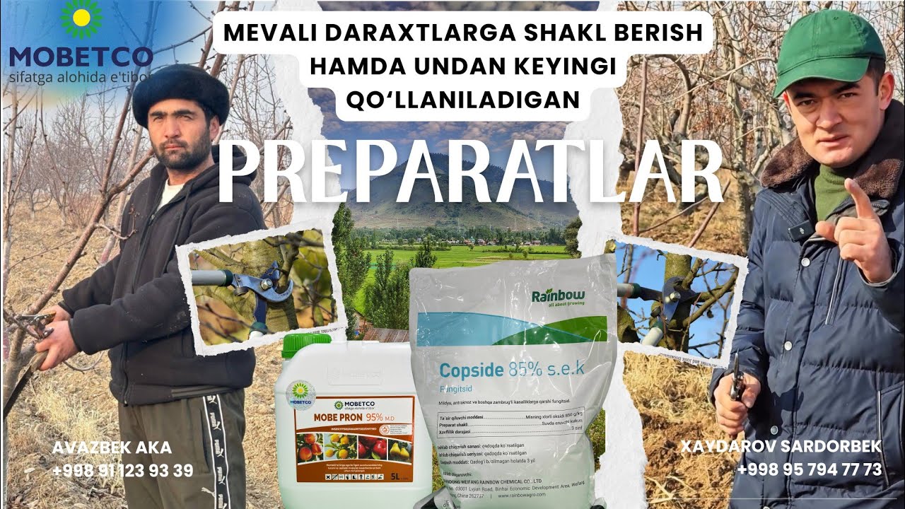Мевали дарахтларга шакл бериш хамда ундан кейинги қўлланиладиган препаратлар🔥🔥🔥🔥