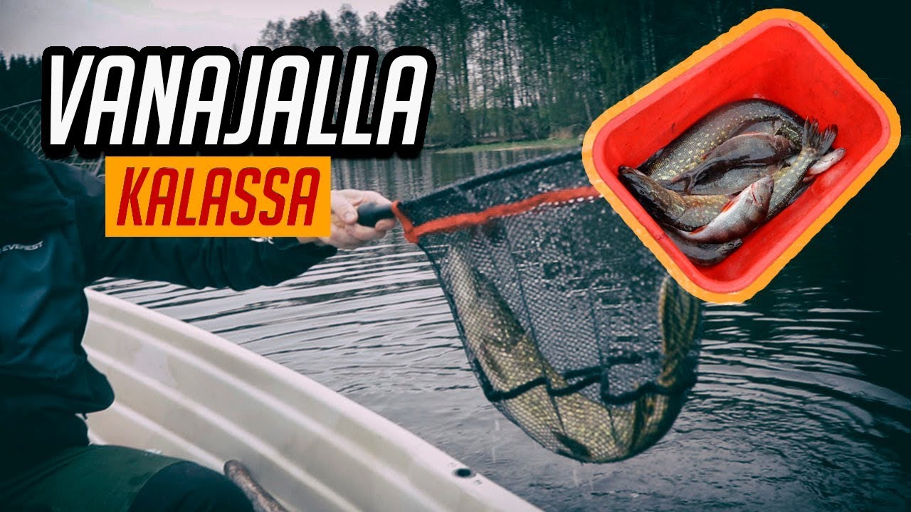 VANAJALLA KALASSA