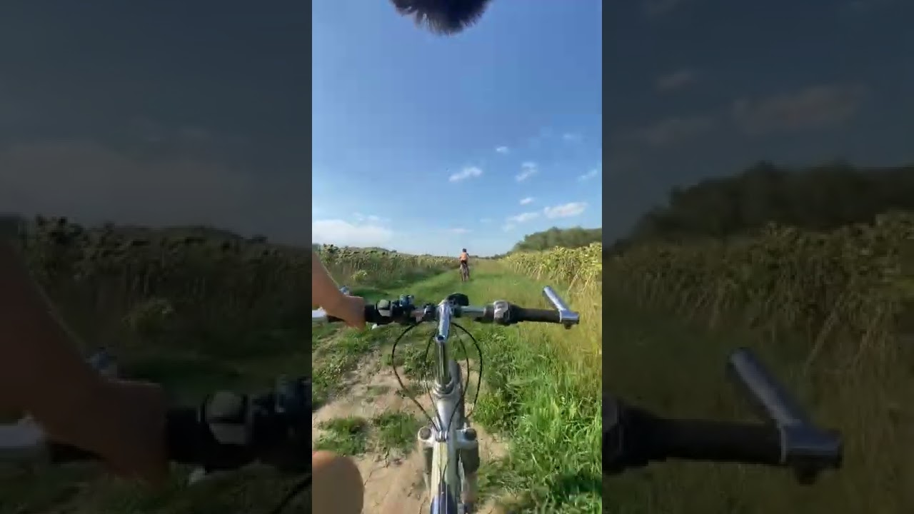 Mtb-4bikers / bike