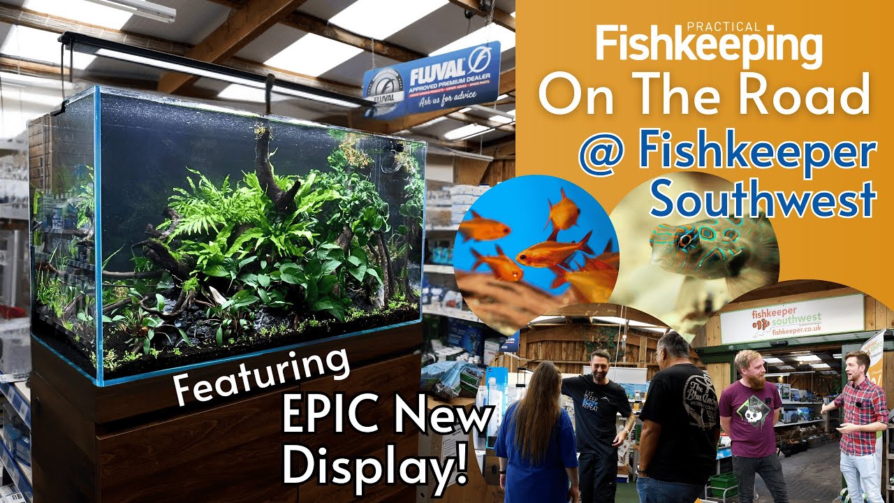 Практическое содержание рыбок в дороге от Fishkeeper Southwest: оформление аквариума Fluval Visi-...