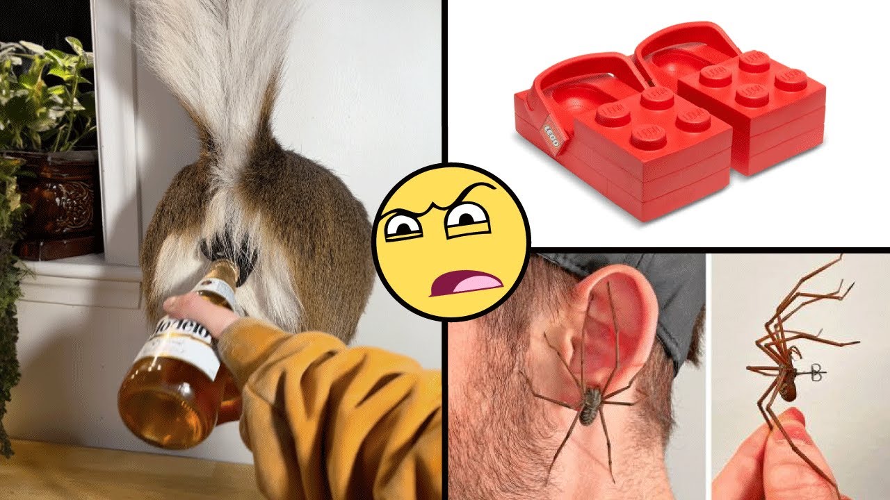 15 Cosas extra&ntilde;as que puedes comprar en internet 🙀🤑