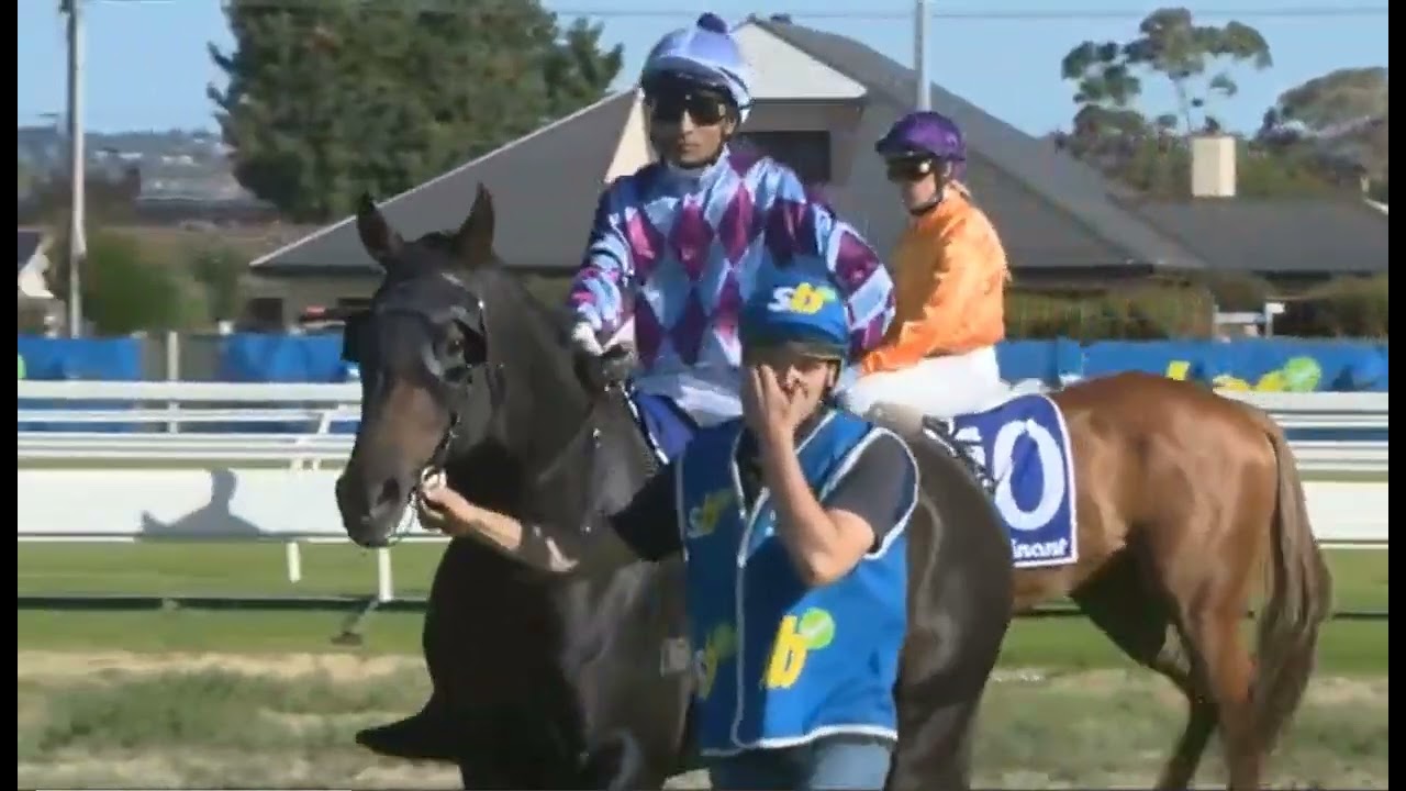 RACE 10- Morphettville - AUSTRALIA - 14 MAR 2026