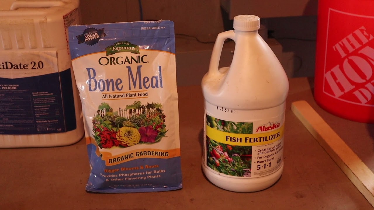 Garlic Planting - Clove Soak & Treatment -