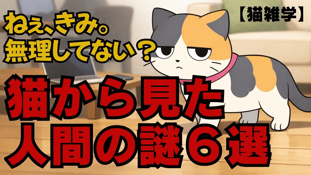 ねぇ、きみ。無理してない？ 猫から見た人間の謎６選