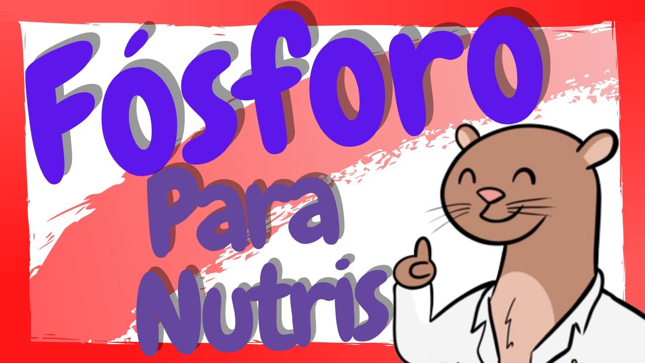 &iquest;Qu&eacute; es el F&oacute;sforo? / F&oacute;sforo en Nutrici&oacute;n