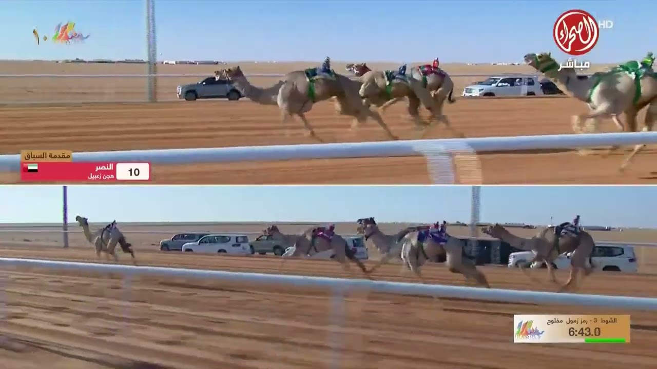 الشوط 3 زمول مفتوح  مساء يوم  الاربعاء 31-12-2025 من 