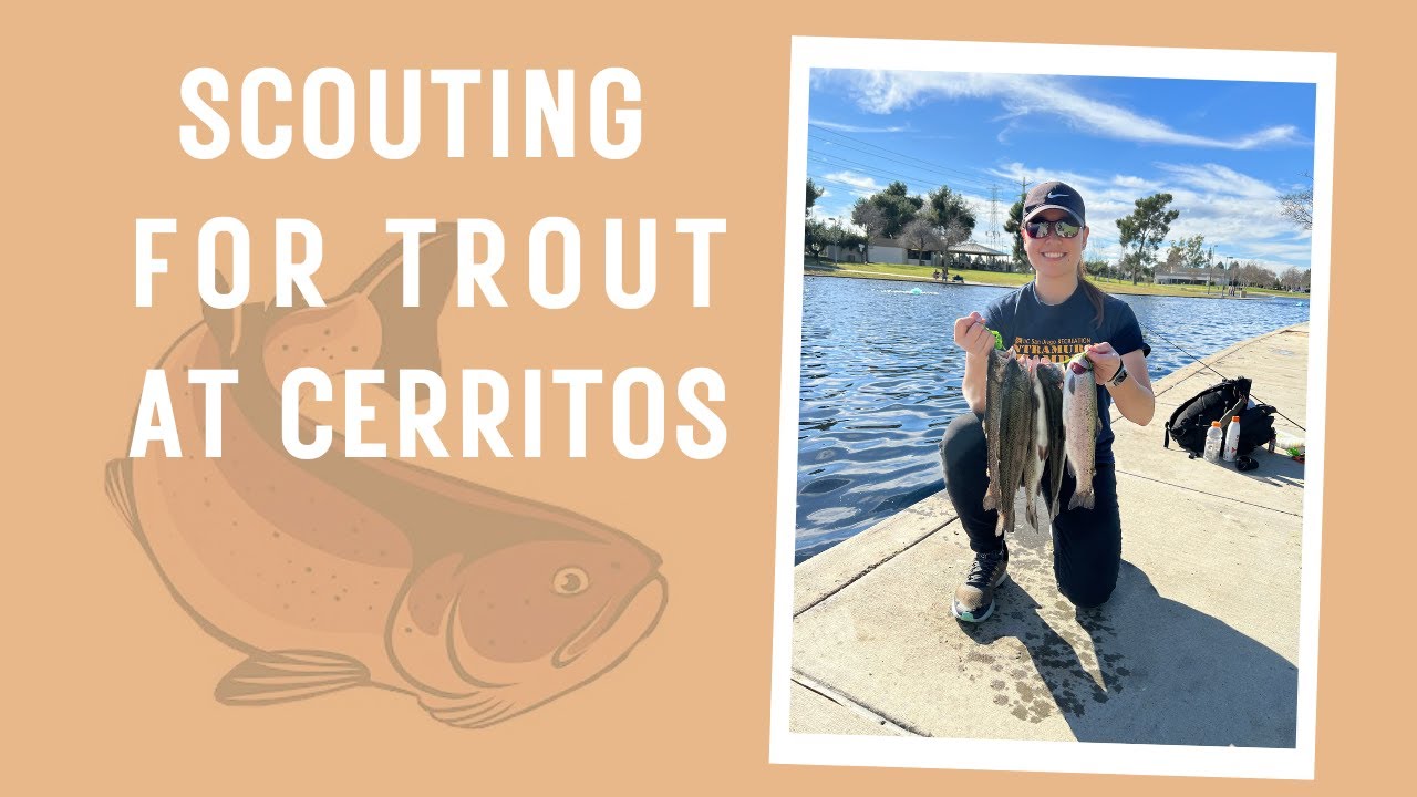 Scouting for trout at Cerritos Park Lake