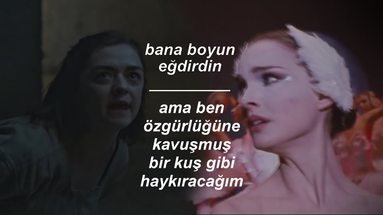 Sia - Bird Set Free (Türkçe Çeviri)