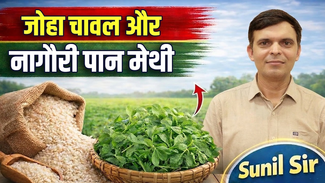 जोहा चावल औरनागौरी पान मेथी | Sunil Sir | Springboard Academy
